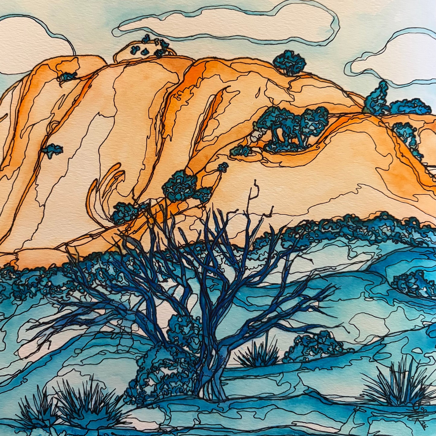 Where the Desert Swims