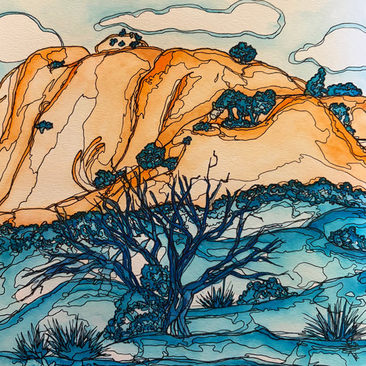 Where the Desert Swims
