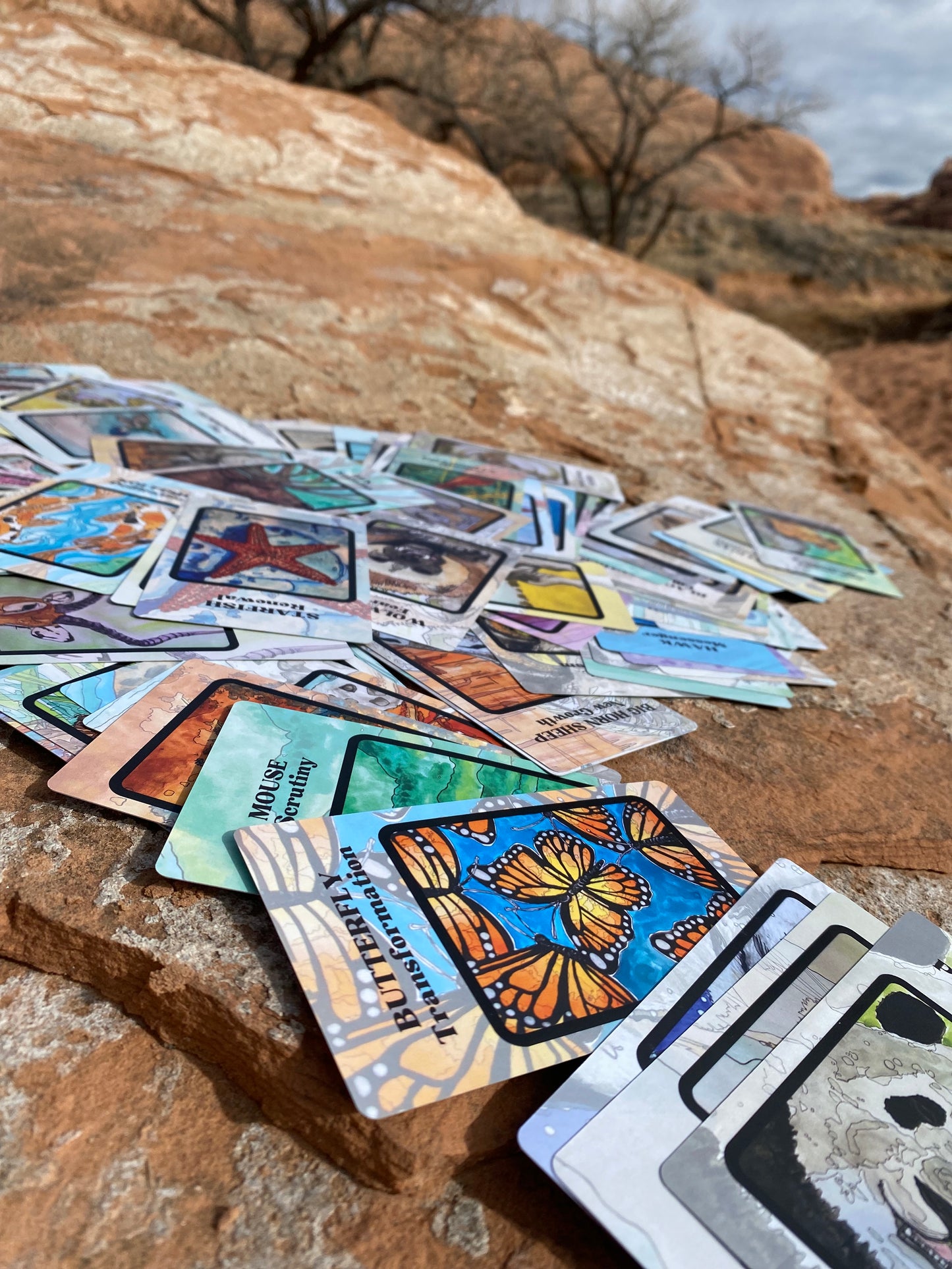 Spirit Creatures BIG & small Medicine Cards with Leather Book Bag